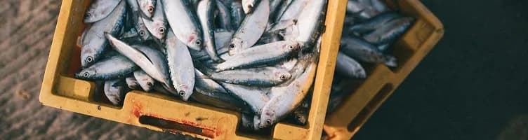 Empresa del sector Agricultura, ganadería y pesca en Zamora