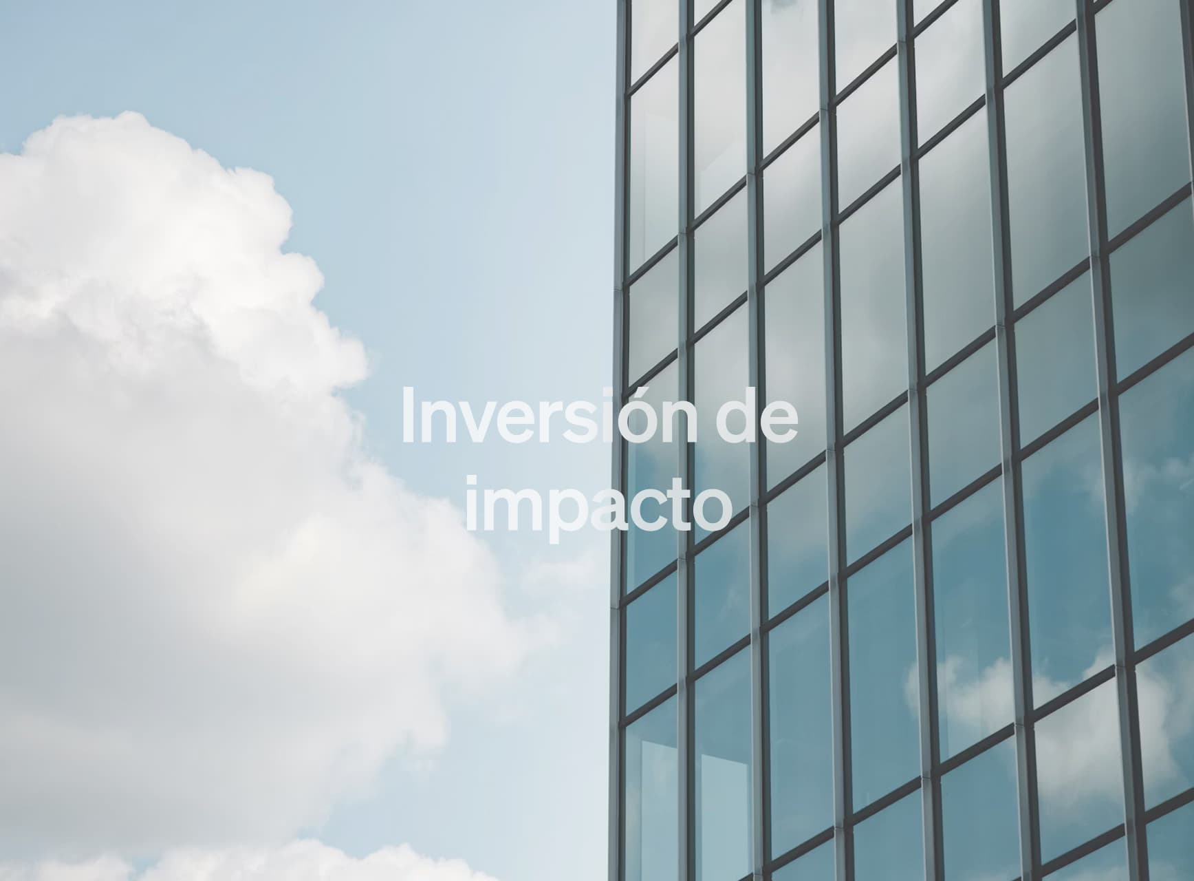 Inversión de impacto: qué es y cómo funciona